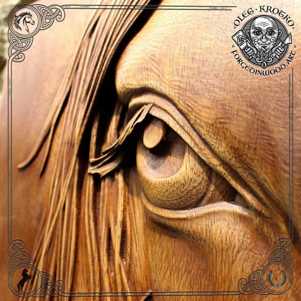 portrait eye horse